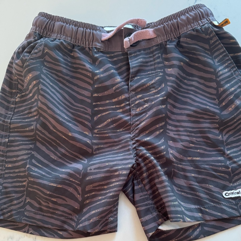 Boys swim trunks Critical Slide